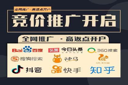 百度竞价排名服务：成功案例解析与优化策略